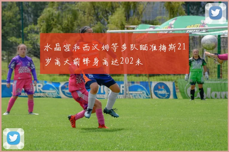 水晶宫和西汉姆等多队瞄准梅斯21岁高大前锋身高达202米